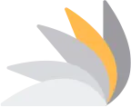 DrGR